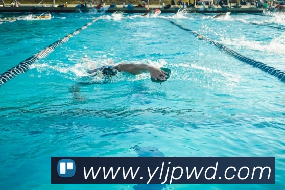 问鼎娱乐平台生态图