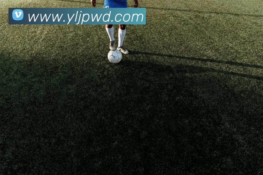 问鼎娱乐全站App 问鼎娱乐全站App